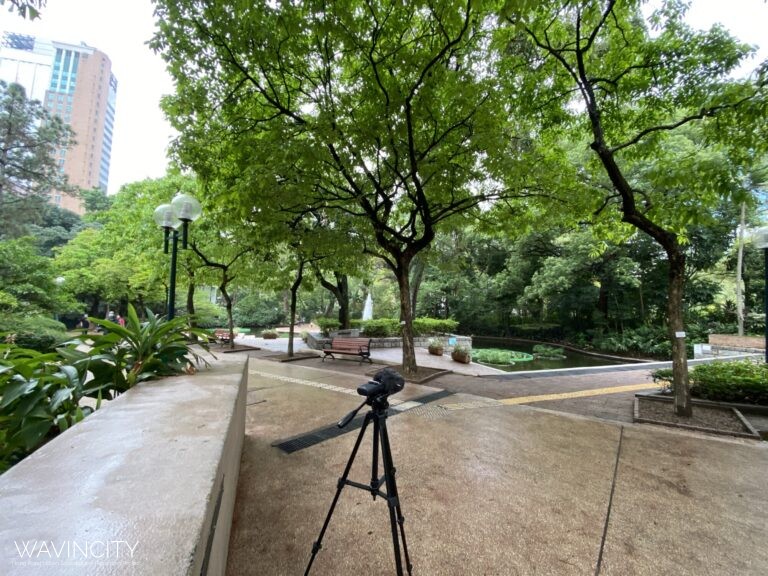 KL0003 九龍公園近蓮花池 Kowloon Park Near Lily Pond