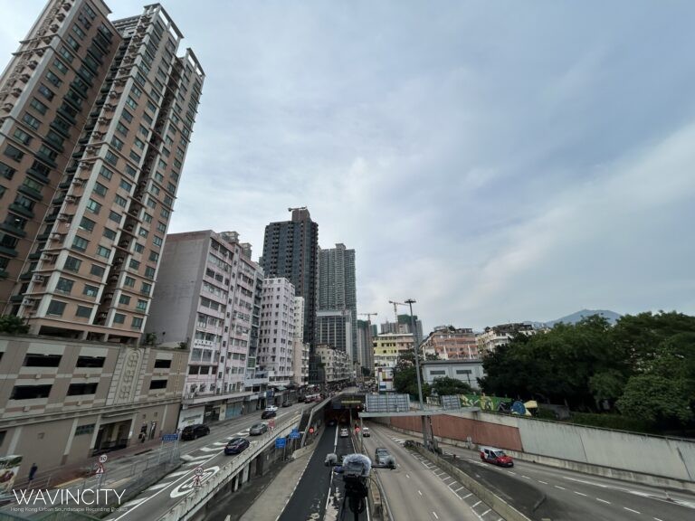 KL0024 土瓜灣東九龍走廊行人天橋（近啟德隧道） To Kwa Wan East Kowloon Corridor Footbridge (Near Kai Tak Tunnel)